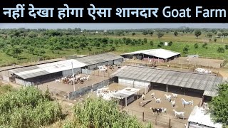 सरदार जी की बकरी फैक्ट्री | Goat Farming | Goat Farming In India | Goat Farm Tour