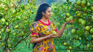 Guava!! 🍐well-ripped harvest for cordial, bombai motai & I love that godly rich creamy cake too!