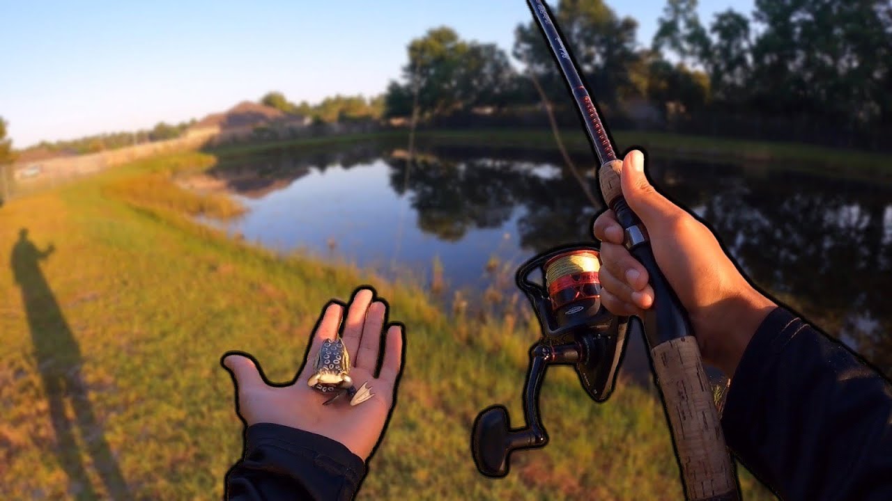 Early Morning Bass Fishing | CRAZY TOPWATER BLOWUP