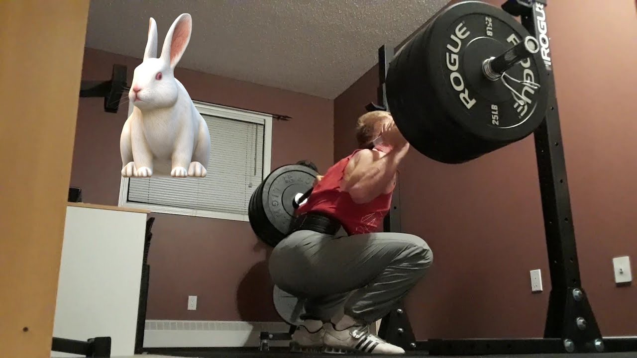 squat-365-x-5-youtube