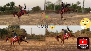 Little boy getting kicked by horse, jukin media verified (Original)Boy getting kicked by horse
