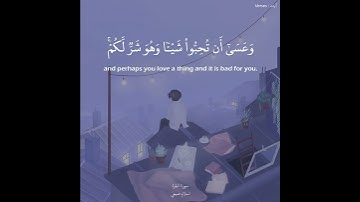 (وعسى أن تكرهوا شيئا وهو خير لكم) اسلام صبحي حالات واتس  - Islam Sobhi | سورة البقرة