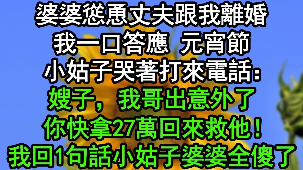 婆婆慫恿丈夫跟我離婚，我一口答應，元宵節，小姑子哭著打來電話：嫂子，我哥出意外了，你快拿27萬回來救他！我回1句話小姑子婆婆全傻了#深夜淺讀 #為人處世 #生活經驗 #情感故事