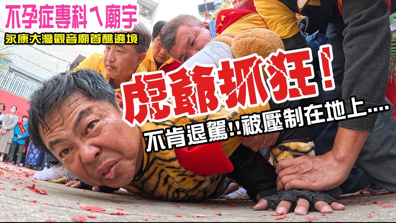 【蔡淘貴跑廟會】EP275 虎爺抓狂不退駕!!被一群大漢壓制在地上….台南不孕症專科廟宇!!永康大灣觀音廟的送子觀音!!連50歲來求都順利生雙胞胎!! #過年 #新年 #除夕