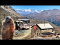 Blue Lake on the Glacier | Funny Marmots in Saas-Fee Switzerland🇨🇭🦫Travel Guide 
