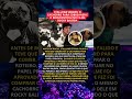 Stallone vendeu o cachorro para sobreviver e o reencontrou no filme Rocky Balboa