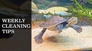 Turtle Tank Weekly Maintenance + Feeding!