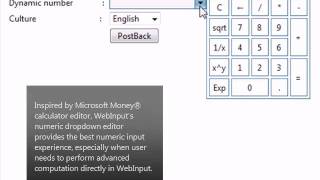 Celebrity WebInput - Numeric DropDown Net Worth