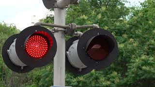 Crazy RR Crossing Lights Gone Wild! Chasing a Ferromex Engine On NS Train! BNSF Train Chases a Deer