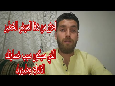 فيديو: عدوى فيروس الجدري في الطيور