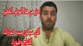 أحزر من هذا المرض الخطير الذي يقضي على طيورك (الجدري)