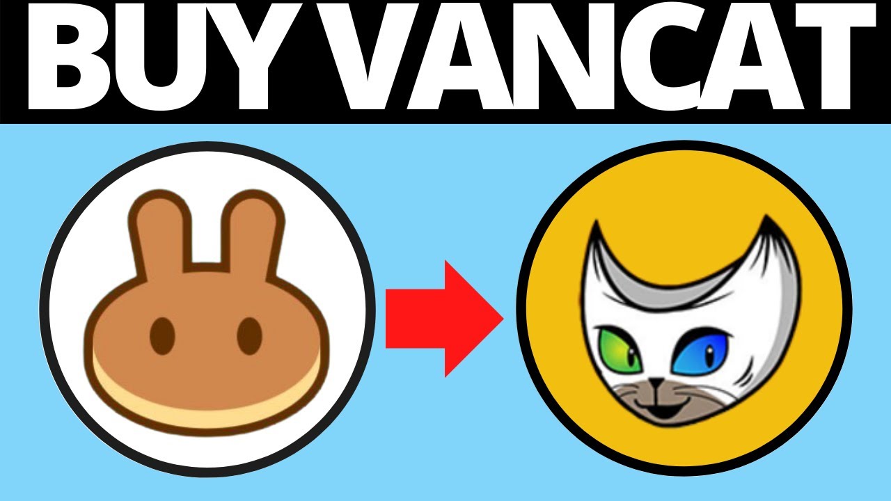 Vancat Coin Market Cap Aulad Org