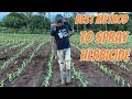 This is how to spray maize herbicide the right way with the right nozzle