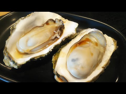 仙台－松島海岸－女川－気仙沼－盛岡（全国行脚 DAY26）