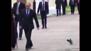 Путин и ворона