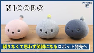 思わず笑顔になる“弱いロボット” 「NICOBO（ニコボ）」、一般購入受付開始