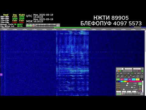 The Buzzer (4625Khz)