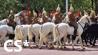 Mounted band of the Household Cavalry