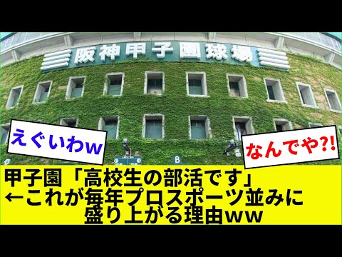 甲子園「高校生の部活です」←これが毎年プロスポーツ並みに盛り上がる理由ｗｗ【なんJなんG野球反応】