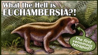What the Hell is Euchambersia?!