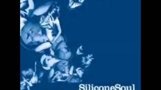 Silicone Soul - Damascene moments