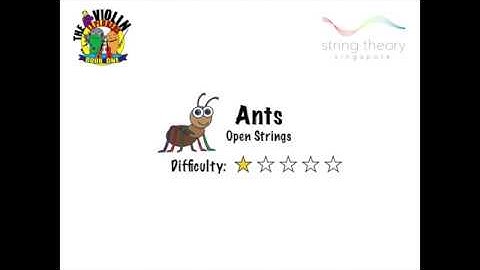 Ants