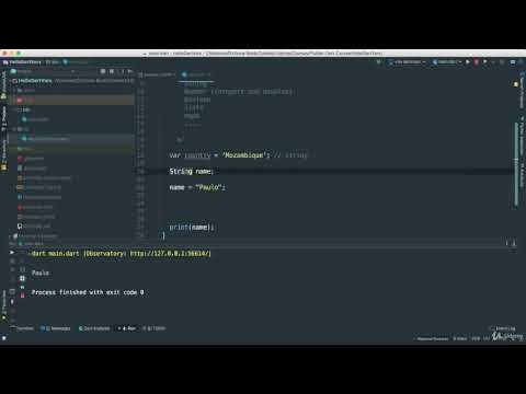13  Dart Types and Assigning Types to Variables  Flutter & Dart   The Complete Course UDEMY