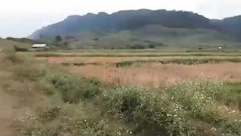 xov xwm dab laug thiab yawm yij sib tua tuag tag