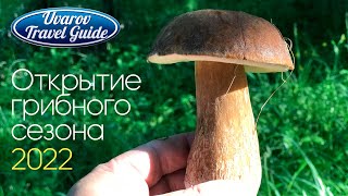 Открытие грибного сезона 2022 Орловская область