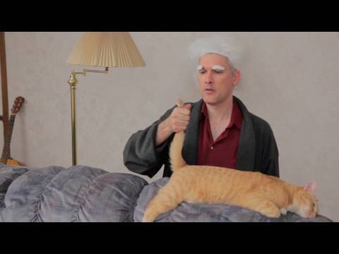 Reenactment (with cats): Princess Bride