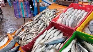 أجواء اليوم بسوق السمك بمدينة الزهور و مقارنة الاثمنة مع سوق السمك بالجديدة.