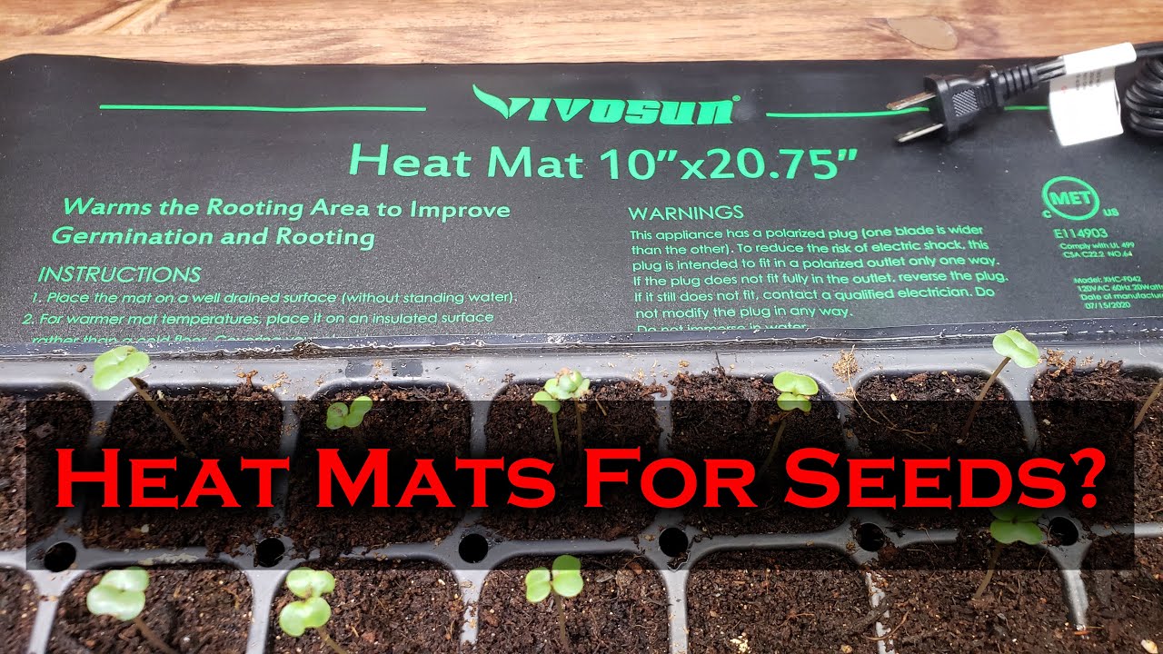 Seeding Heat Mats Explained For Beginners - Plus Vivosun Heat Mat Review