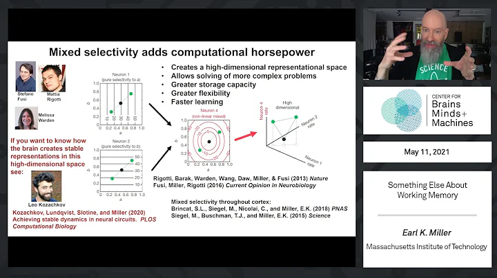 Something Else About Working Memory - Earl K. Miller, Picower Professor of Neuroscience, MIT