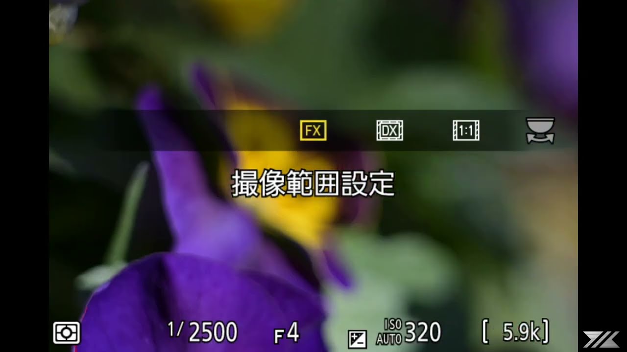 Nikon Z9 + NIKKOR Z 24-120mm f/4 review ( flower, macro, FX-DX