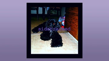 Daniel Ferreira - Sidetracked