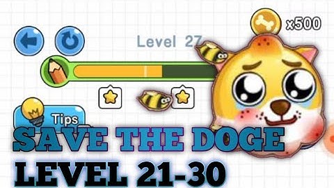 save the doge | level 21-30