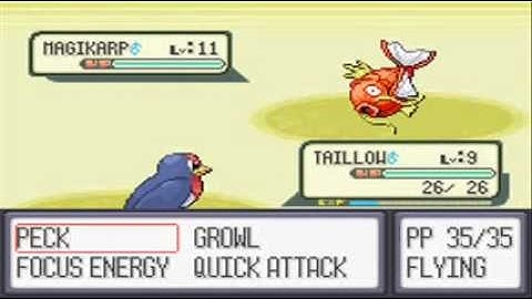 Pokemon Ruby Walkthrough Part 7