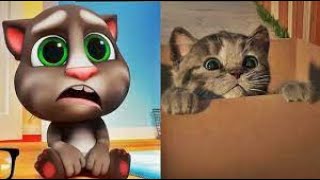 El GATO En La VIDA REAL, Little Kitten My Favorite Cat, Lindo Gatito screenshot 1