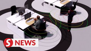 The new office space: 'exclusion zones' and plexiglass
