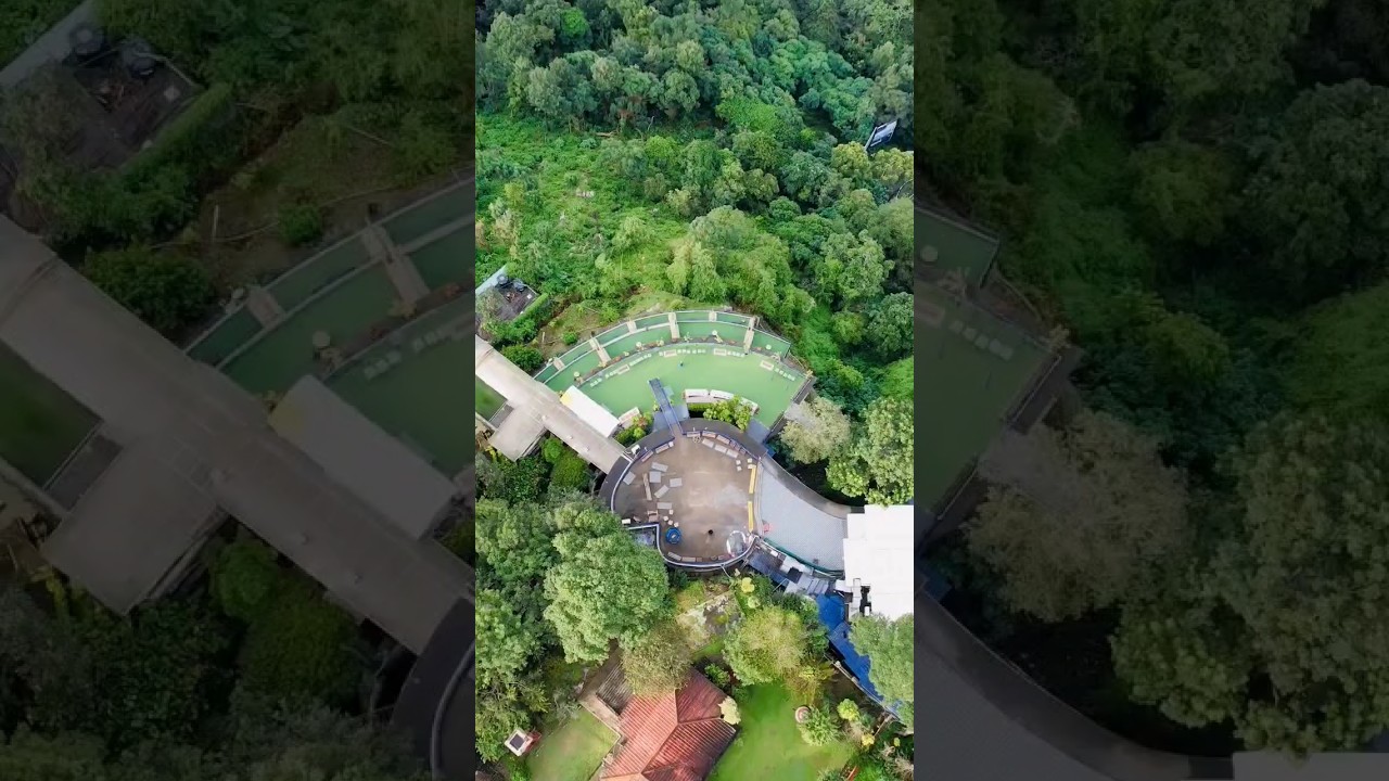 🥰❤️Yercaud Views  