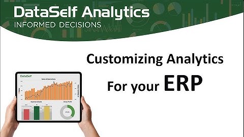 DataSelf - Customizing ERP Analytics