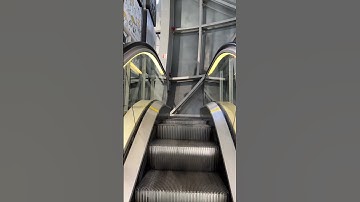 Why Escalator Steps Have Grooves #youtubeshorts #factshorts #short #viralshort #factseleven