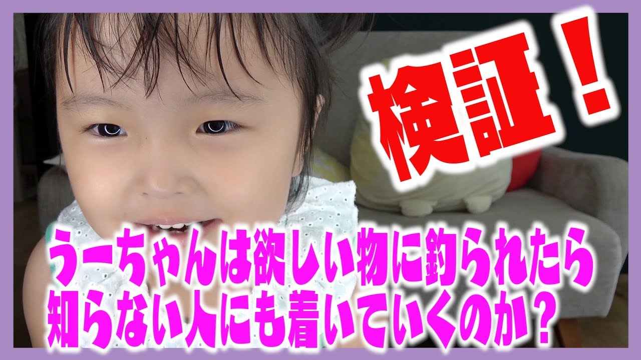 検証】うーちゃんは欲しい物に釣られたら、知らない人にも着いていく