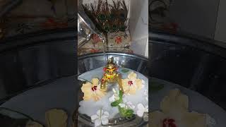 thanda thanda pani sa #youtubeshorts #trendingshorts #viralvideo #ananya #bhanot #goodmorning
