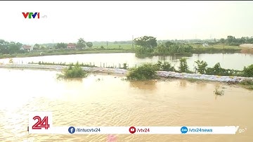 Nguy cơ tràn đê tả Bùi | VTV24