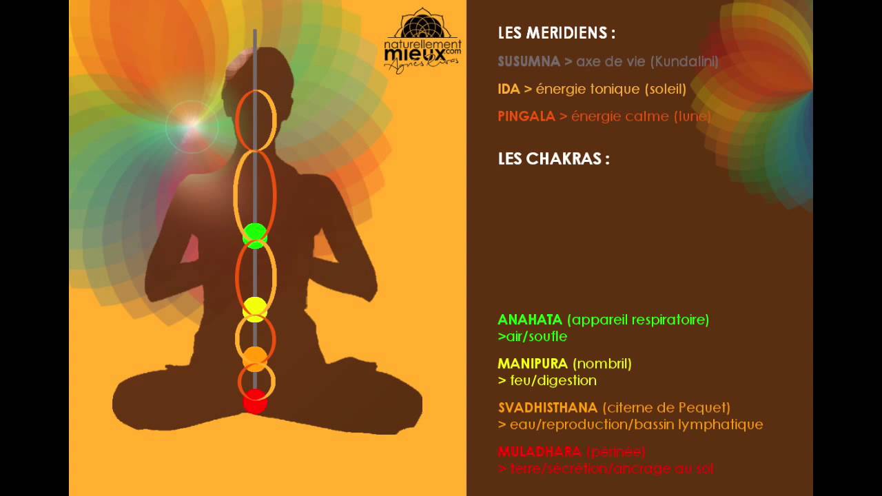 Tout sur les Méridiens et les Chakras