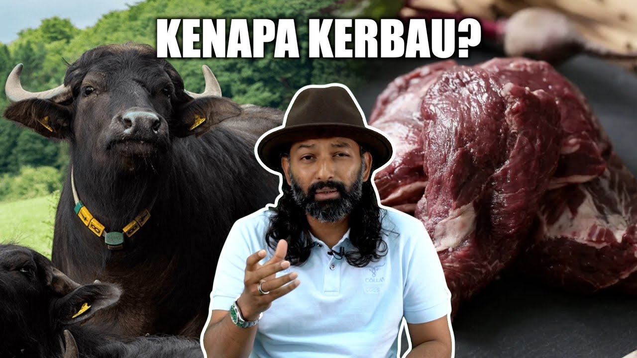 Ini Sebab Kita Import Kerbau dari India