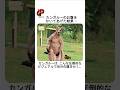 本当に不思議だな…
