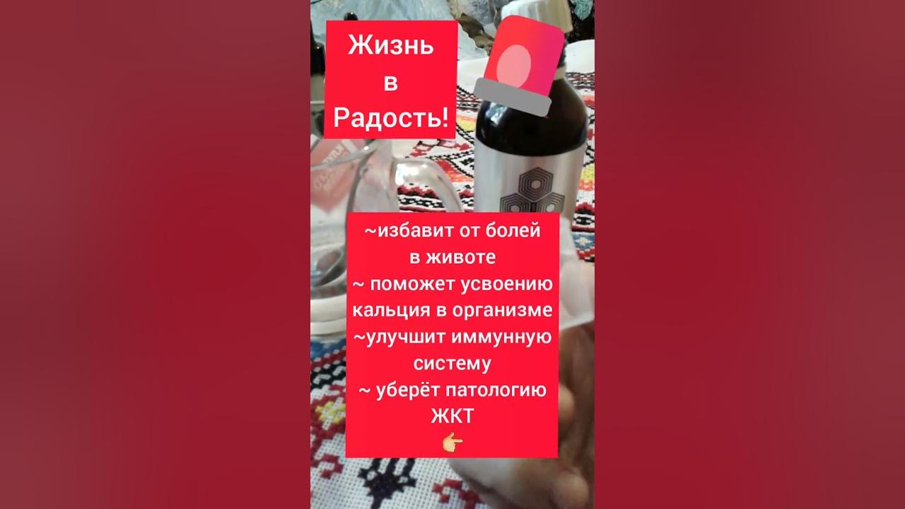 Т8 MOBIO - Метабиотик! Здоровый кишечник Тайга8 🌲 - YouTube