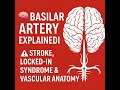 Basilar artery: neuroanatomy  & clinical correlates #mbbs #stroke #neuroanatomy  #usmle #plab